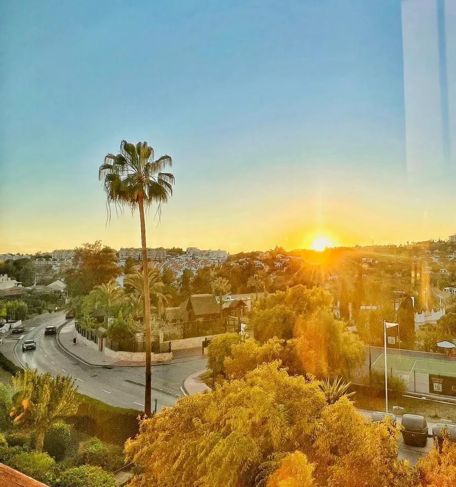 74b01b94-5339-4a40-8a32-fd41476b9014