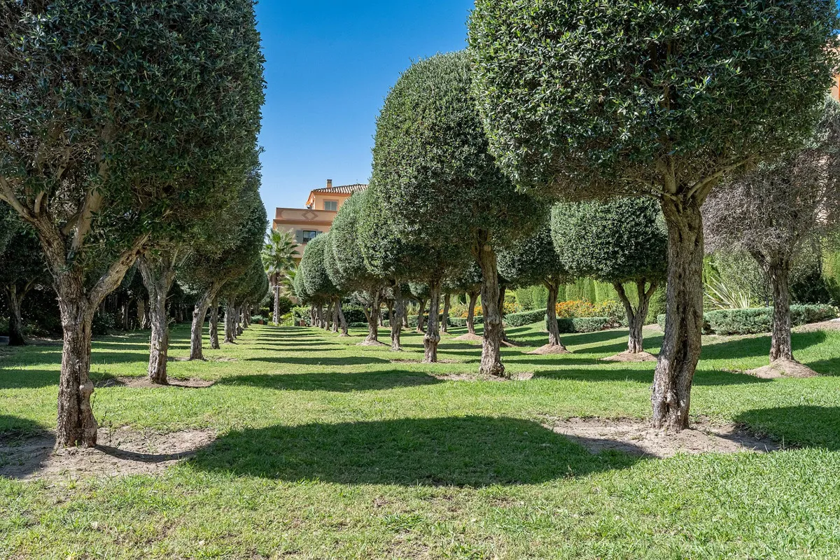 0ccff6e4-02ef-437a-a198-45bc07959ca3