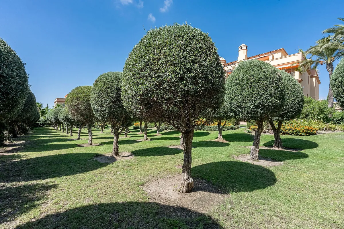 359ee63e-703e-4b95-8833-e5ff90d702f7