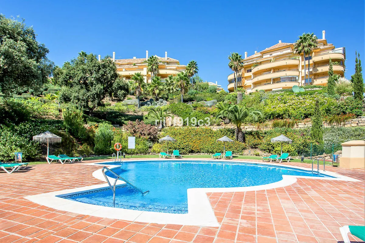 4aef1073-bfd4-4ae3-ab34-d1ee47c37493