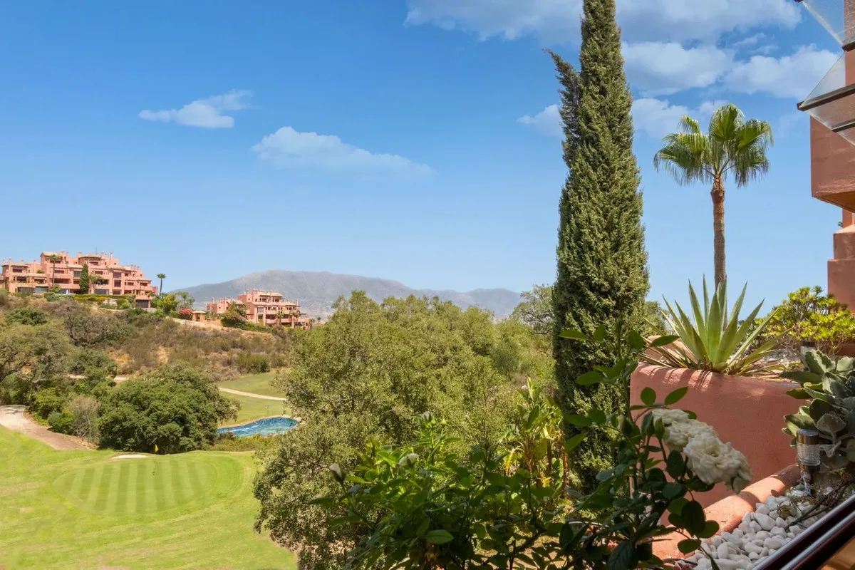 8a699599-6b3e-4a28-8c2c-920bfdcd5d03