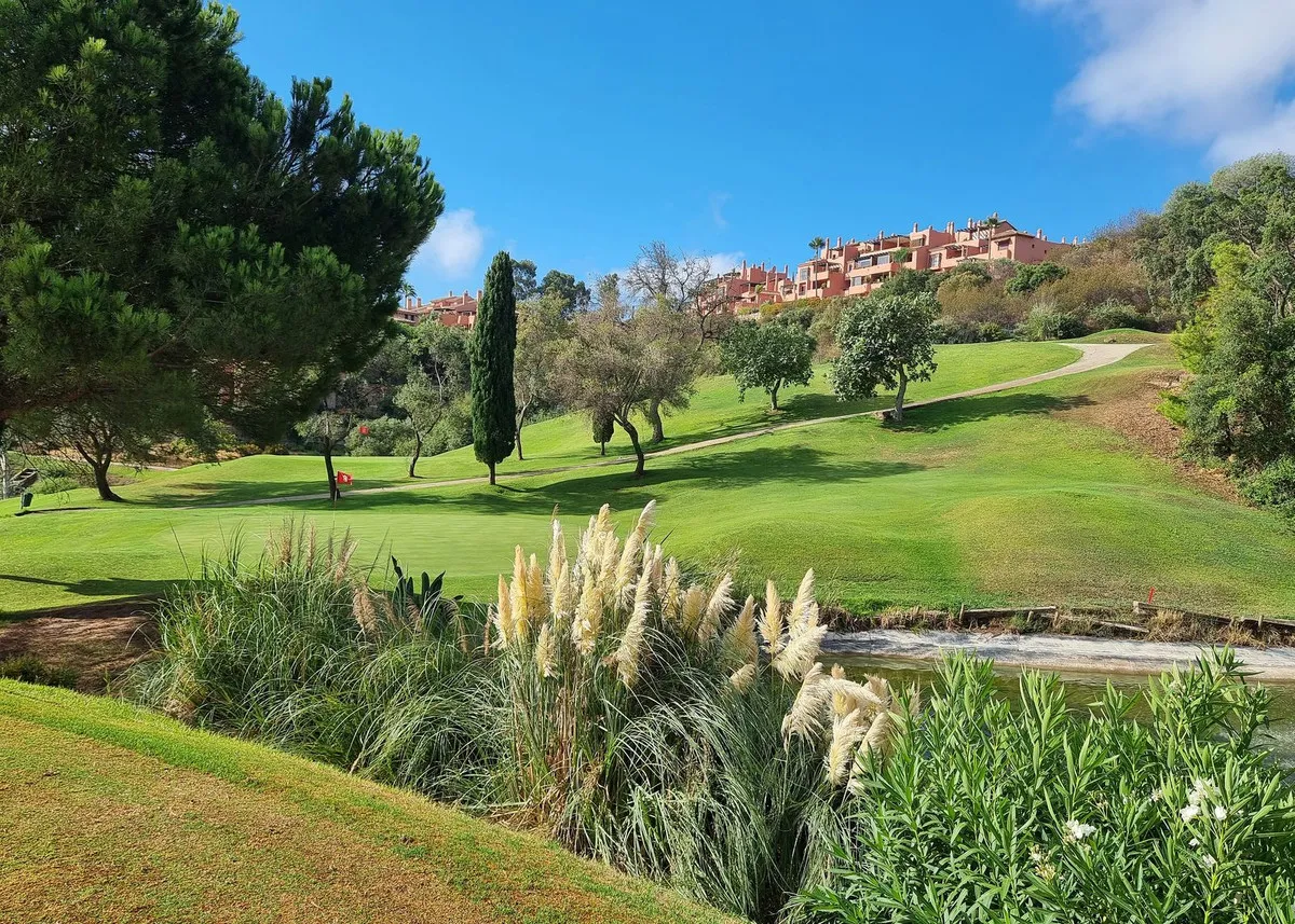 d15d7846-3f06-4612-8706-3e7d9724d2ee