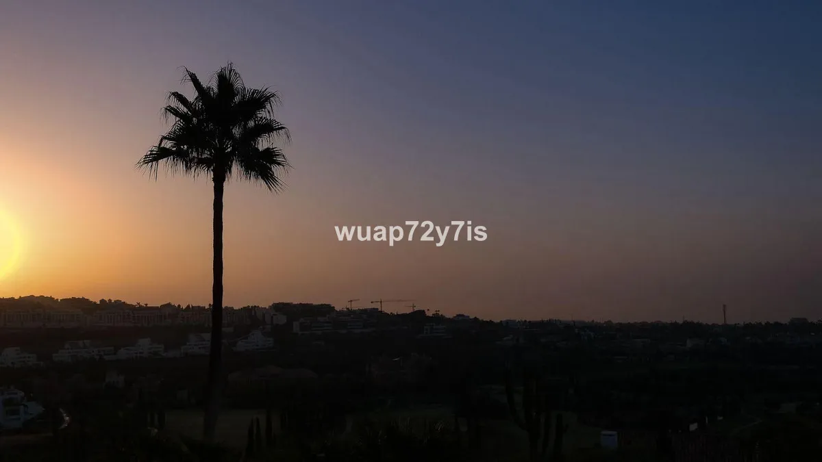 0f5d5ae0-8552-41ae-b372-204861b127ba