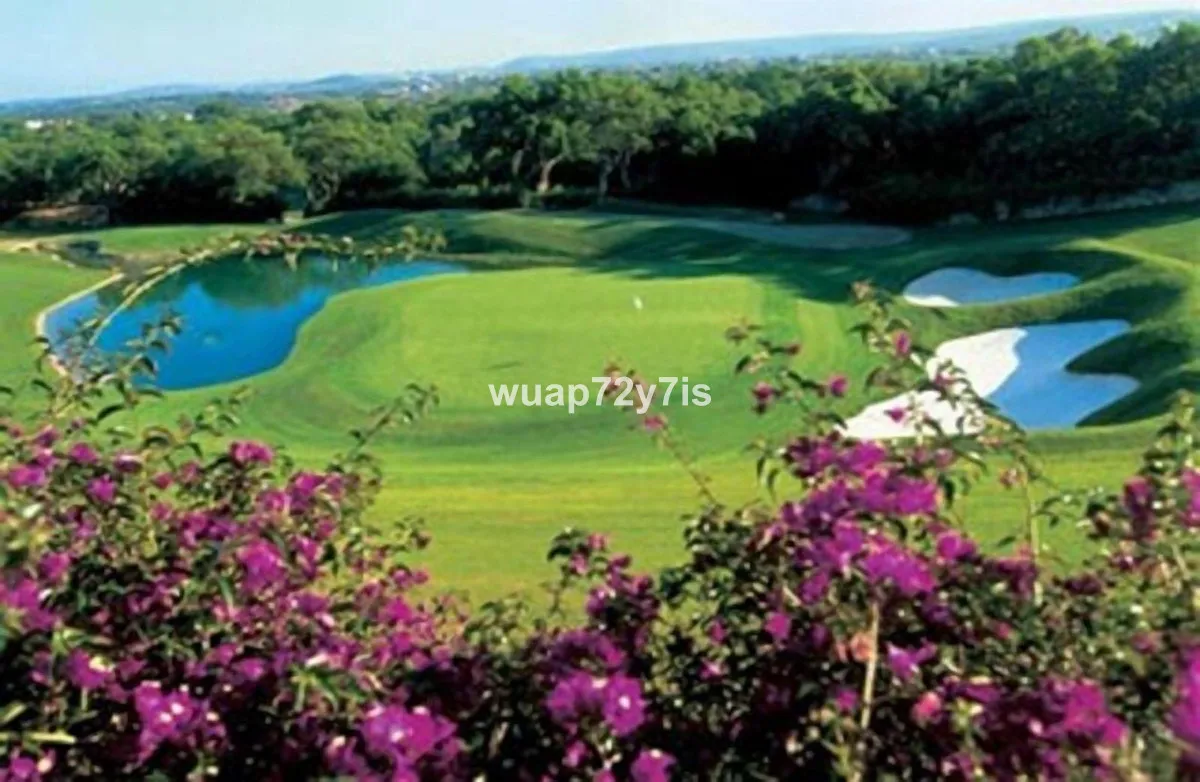 d81781a7-8690-4965-b985-36916f9568fc