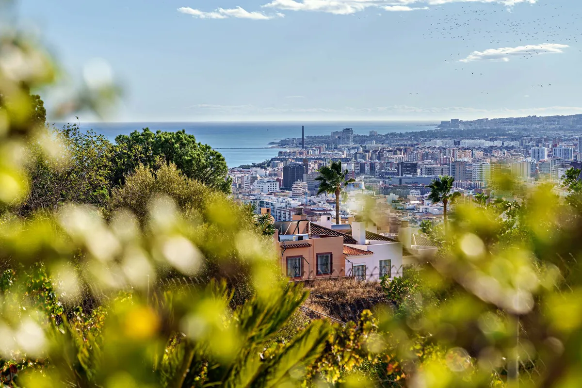 0a02a037-15e8-4923-b95d-202420cc6a44