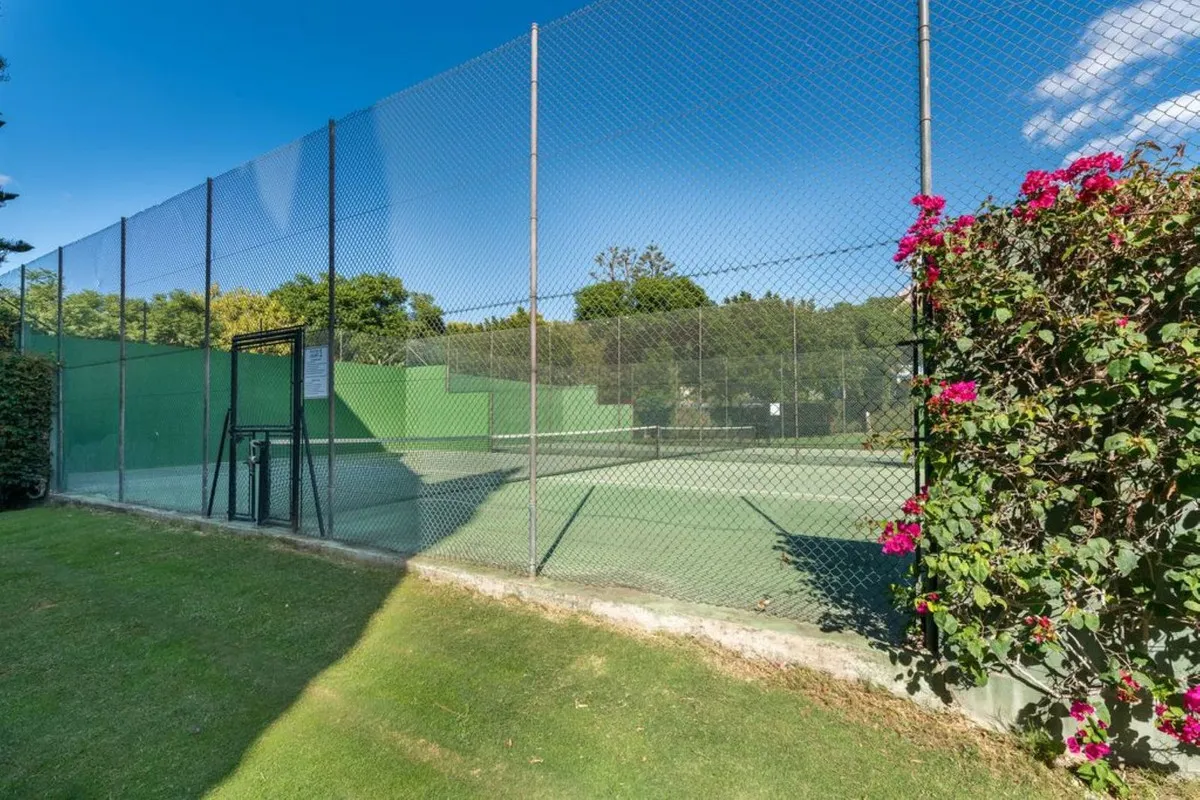 ed298fed-d39d-43ed-a9ba-7244afe1850c