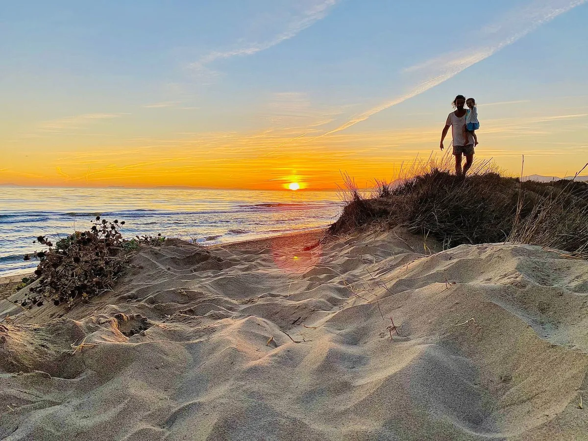 6365dfe1-a6f5-463f-81b0-416f02ab00e2