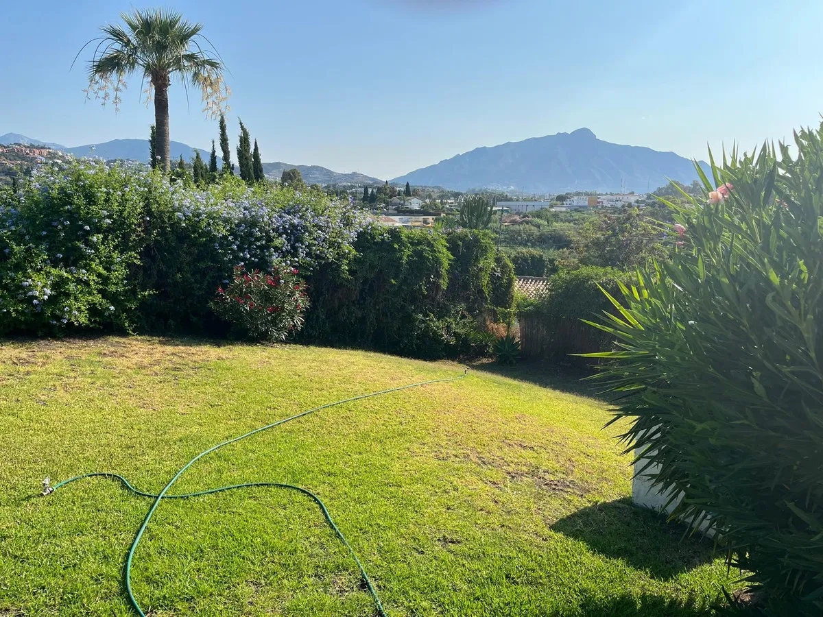 e3785acd-010a-41b6-866b-44eda8ec87db