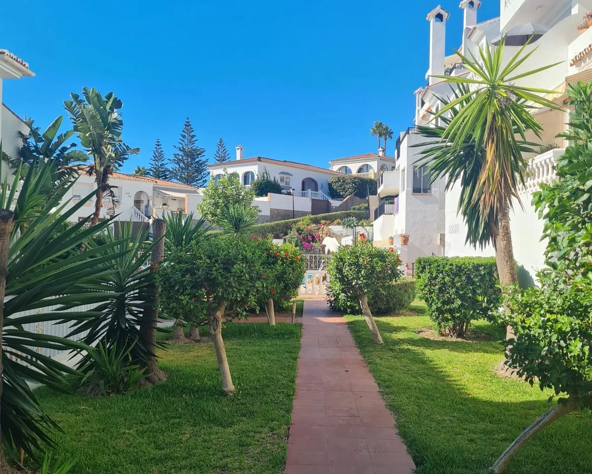 24adf713-9844-43e0-9b57-6428b33d4d9e