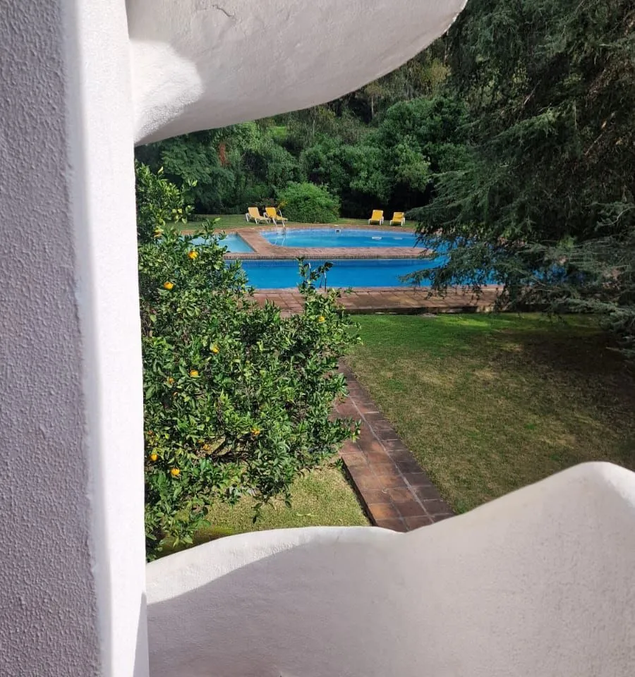 a488c795-b272-49a0-a461-6733082e6ef1