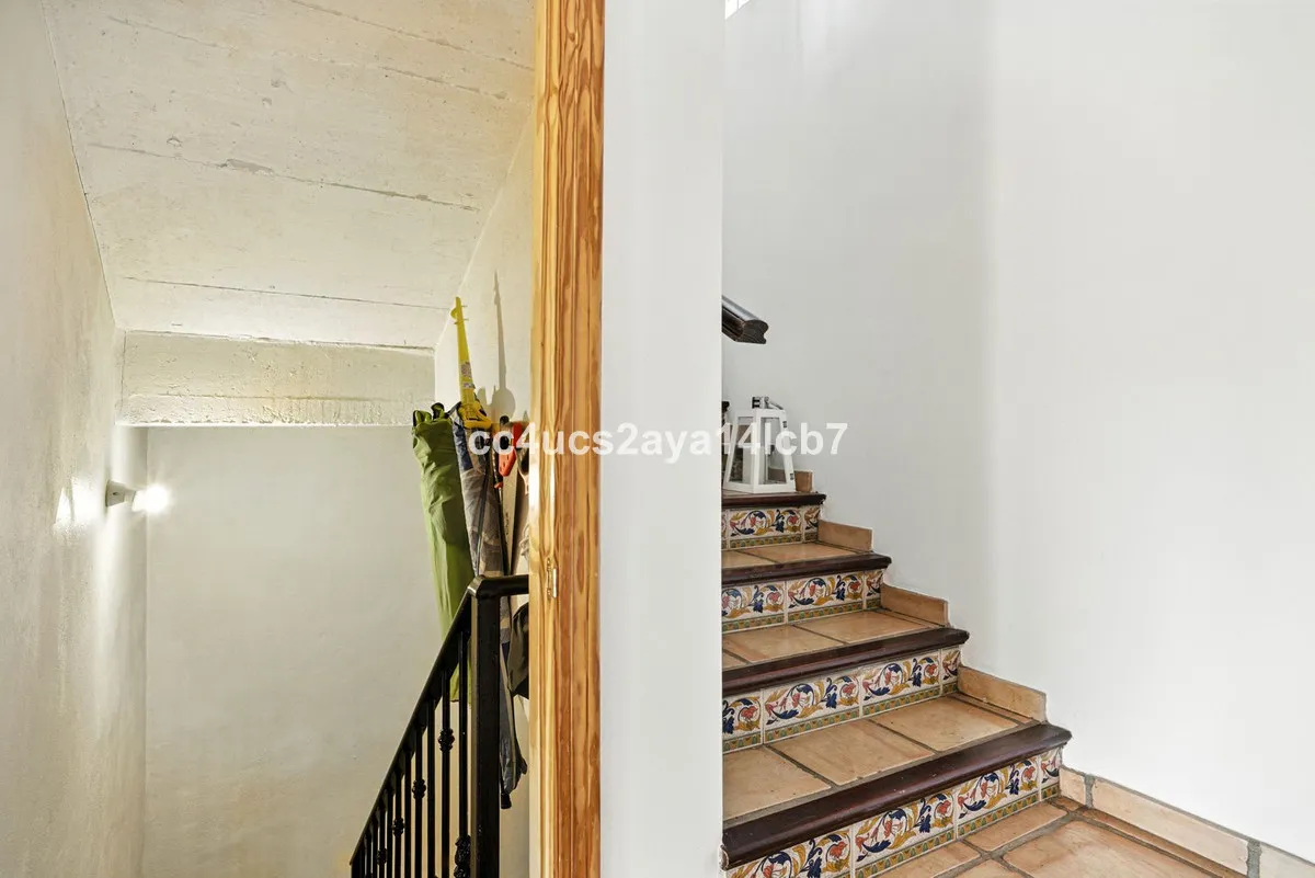 b3a96594-9d53-4866-8dd6-f6bc2f7b7dad