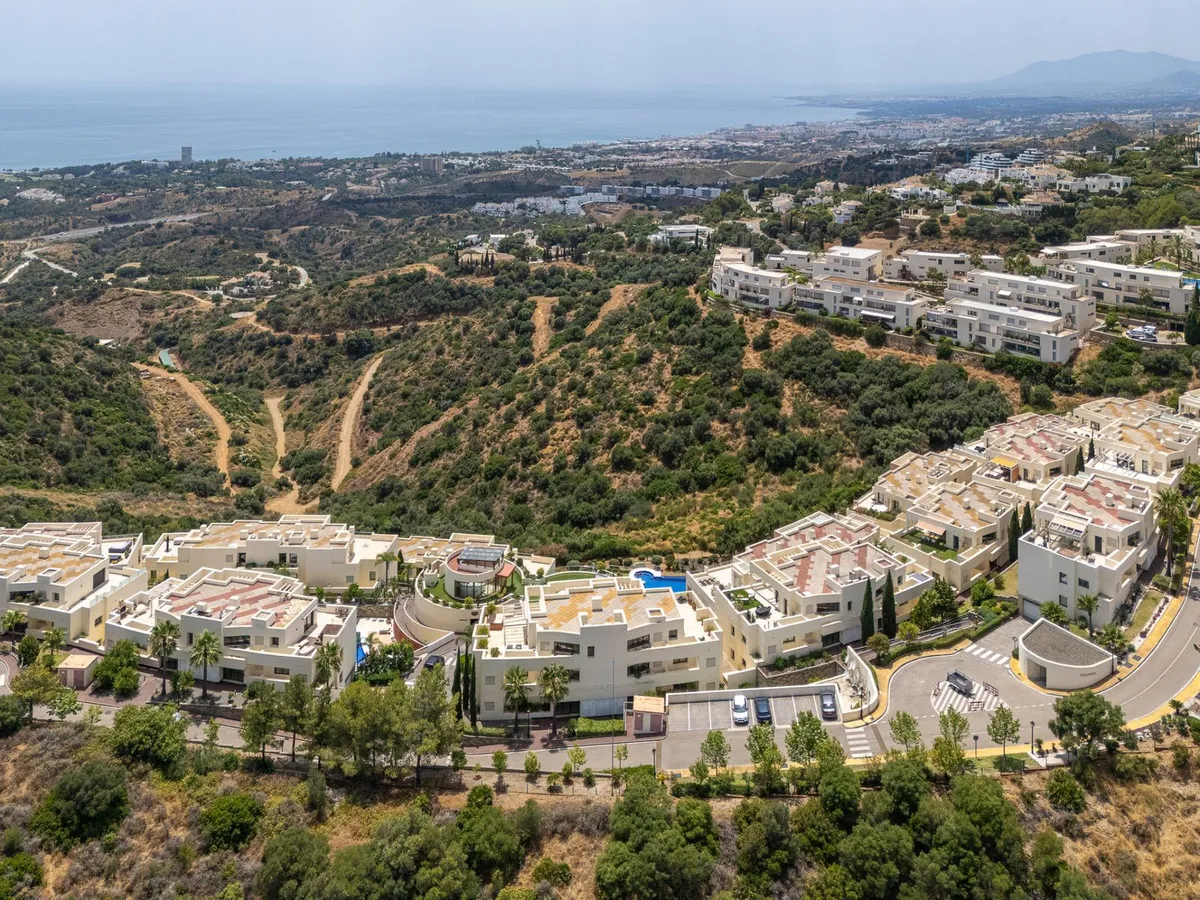 51900e1f-b5a0-493c-ac7a-a38c8f369a1c