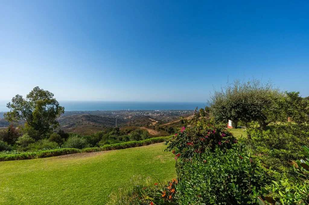 8155c48d-5bcf-444e-a566-36d2ea88f23a