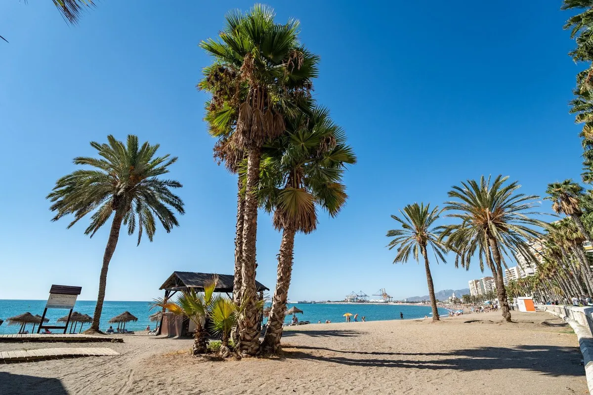 162d5fb3-edea-4959-9ef0-b08a8bce71bf