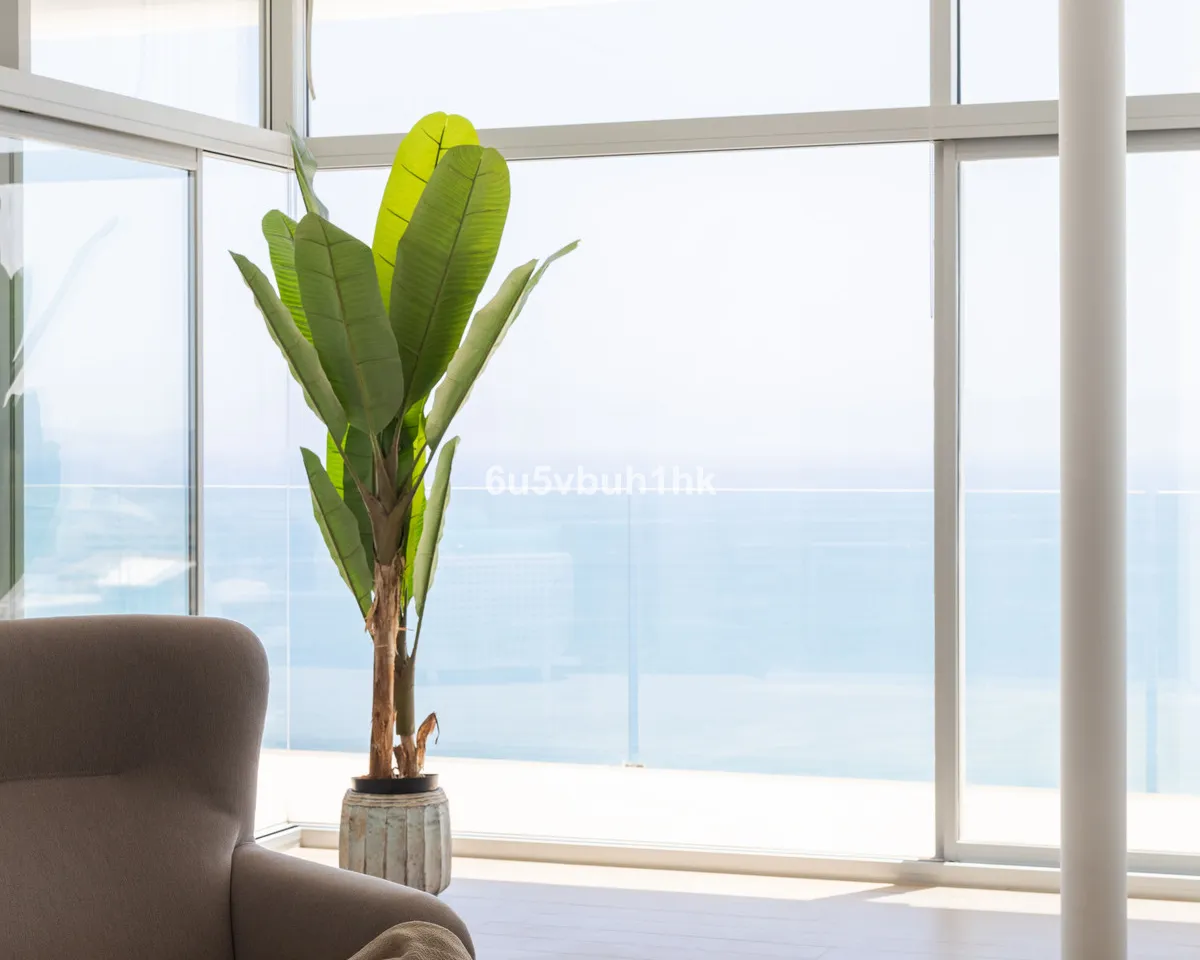 d5bacee2-4684-429e-b00e-2b494817d78e