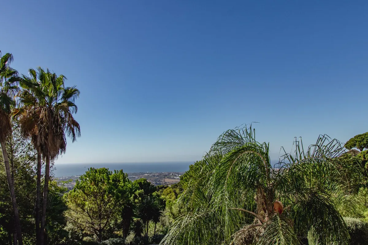 1e6bace9-0980-4455-96b0-967a7ff59a99