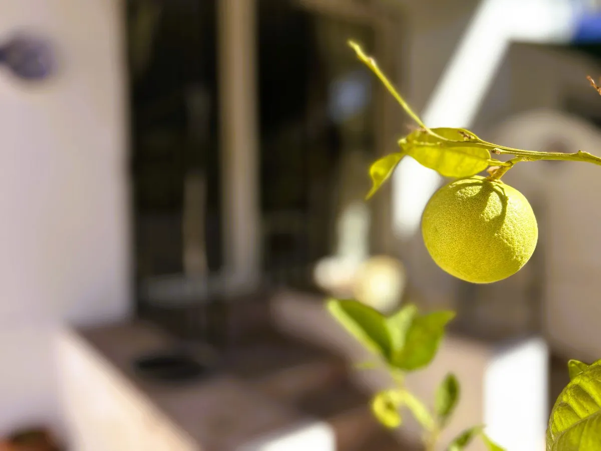 6a21a294-03dc-4d99-9125-2580cbebb5d5