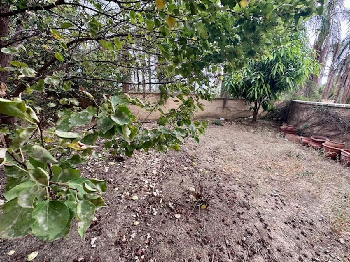 8204bb59-41af-448b-be6f-e44a6ddd5d98