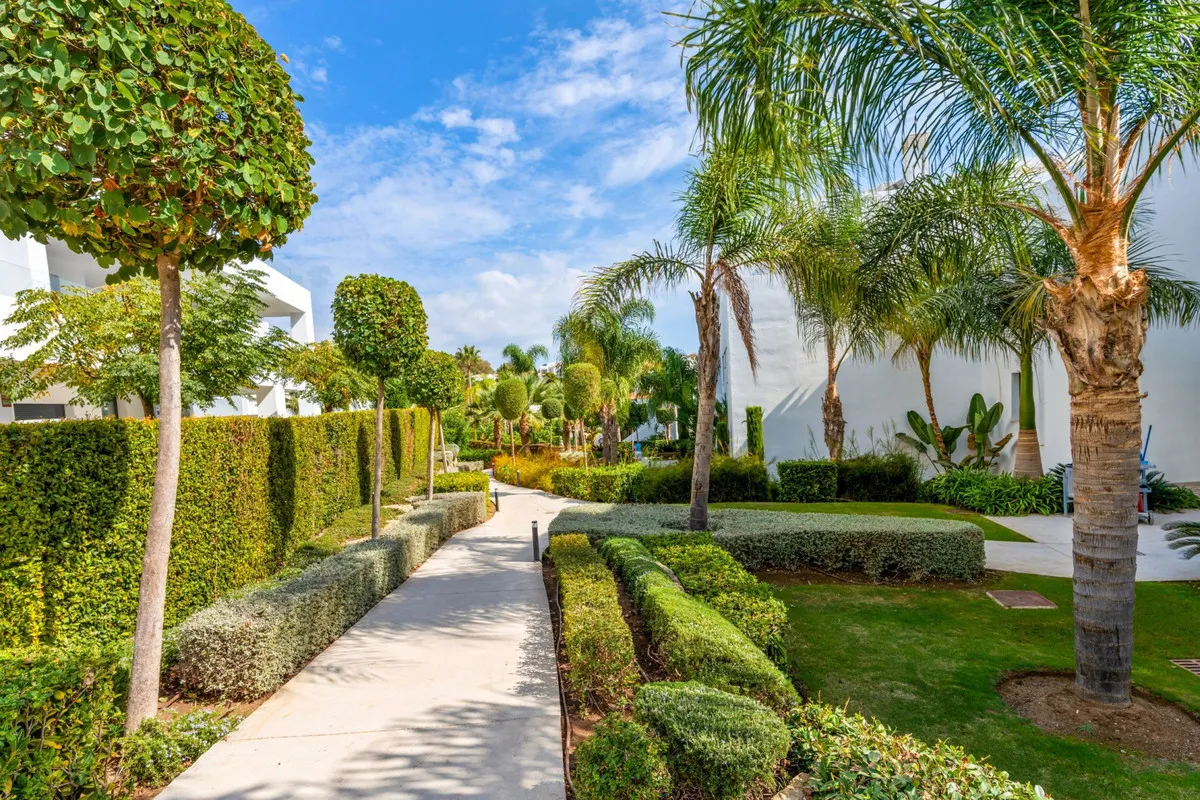 256a9553-6e7c-4fbf-8966-0914400bceca