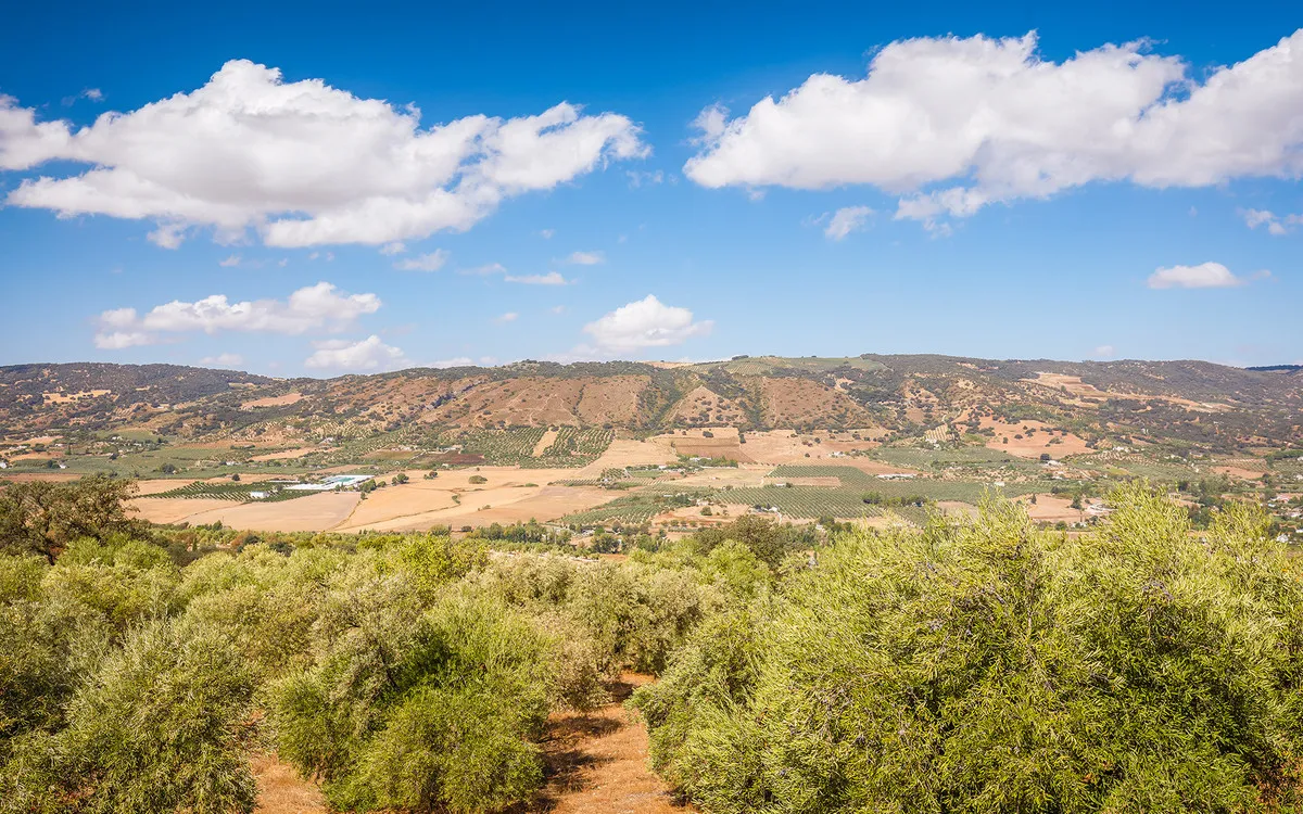 6d1003a1-88fb-4563-b293-9af993d7381b