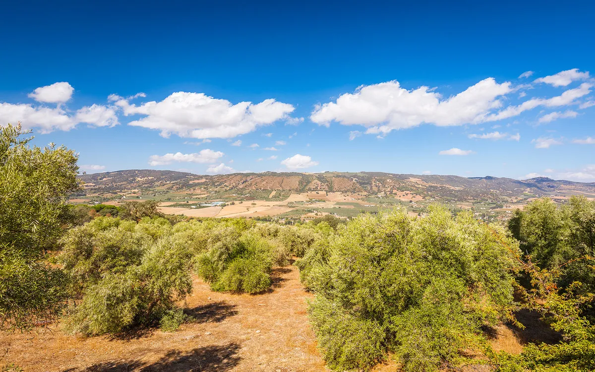 7da312fd-8454-4753-999a-4cf29312a3de