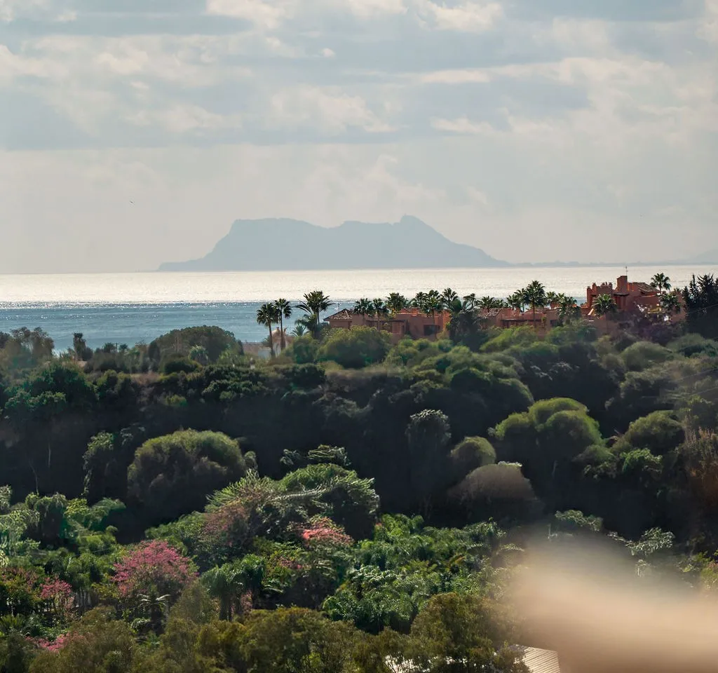 5729d2af-f8b0-4f50-b224-fe85c710a72e