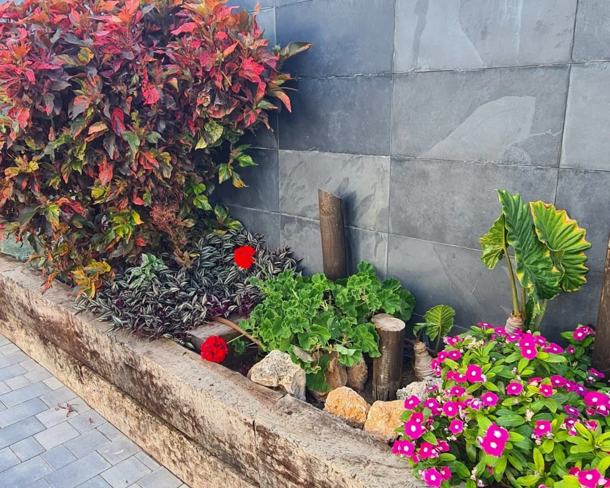 4d172b23-bf45-43be-a6e5-01c737c74658