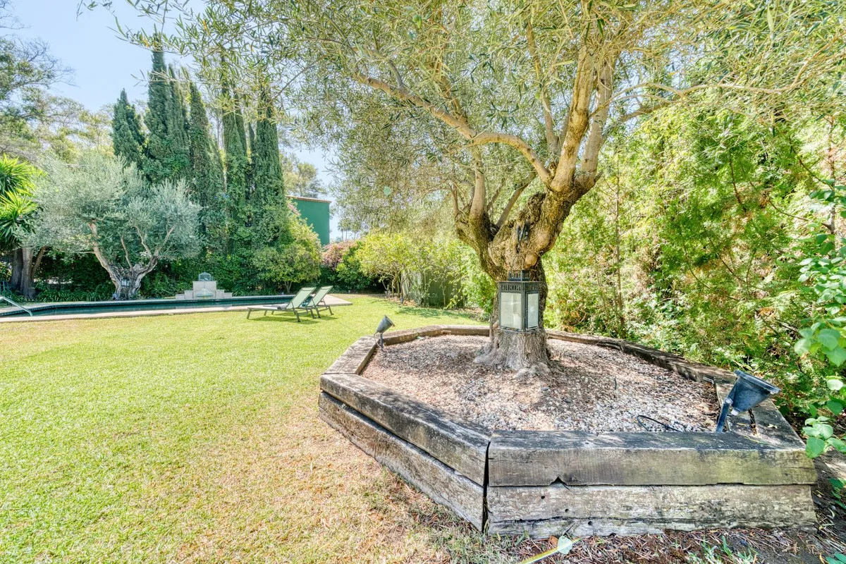 c8989273-f0e2-484c-b2da-f645ec15550b