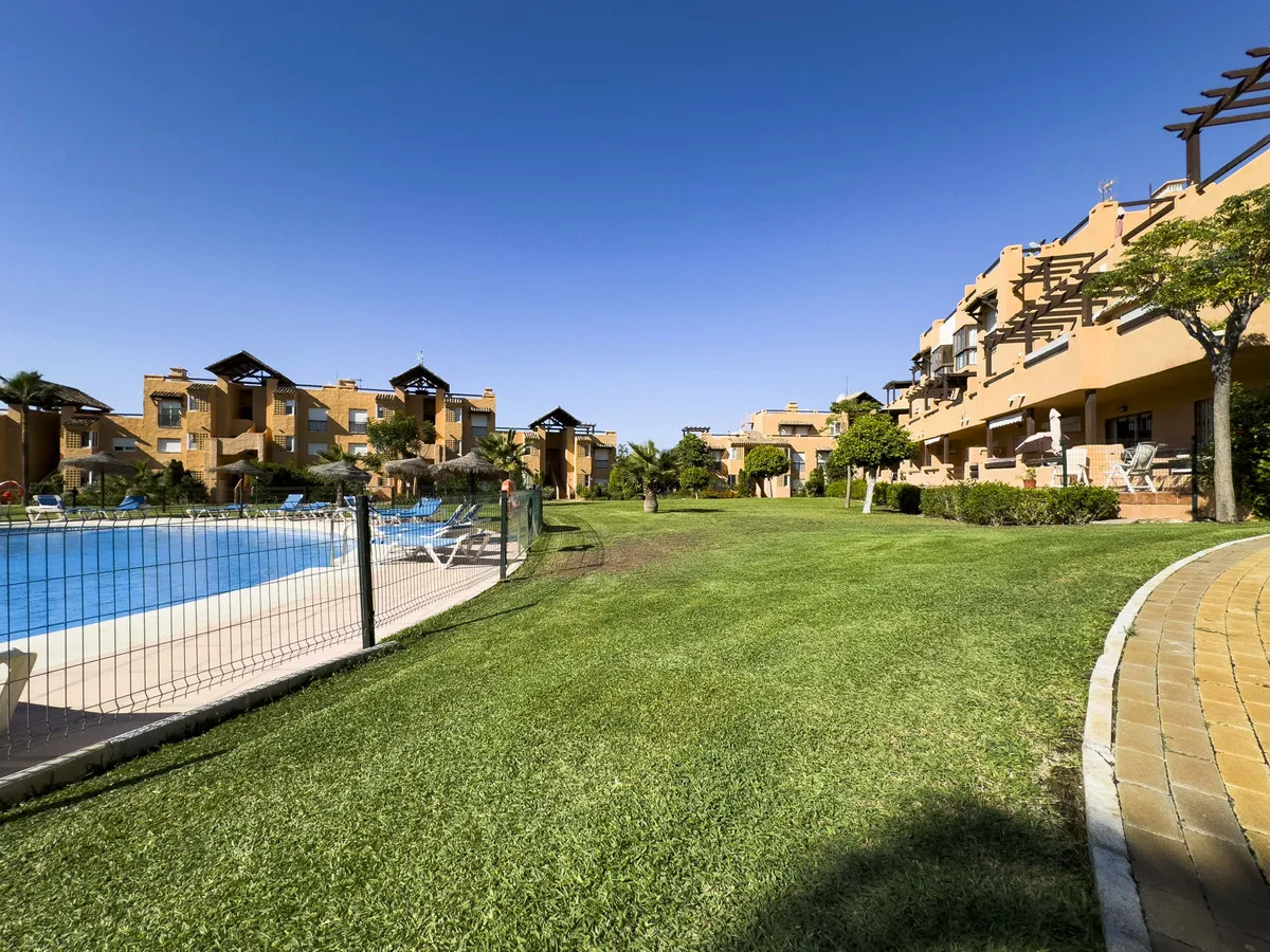 91659399-64e5-4f4b-876c-564a812153e8