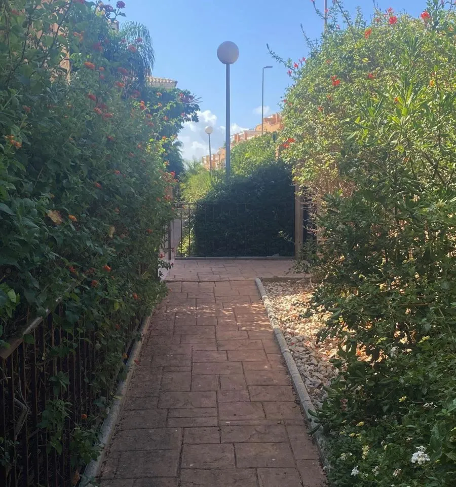 95b4ea5a-384a-4eb3-ae22-8a96832eb2c0