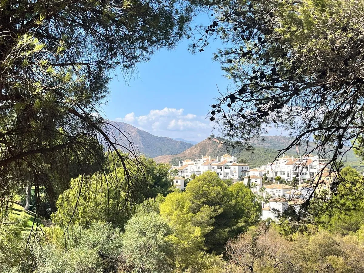 7930bd99-2df8-447b-a0d6-04c2f8d6b44f