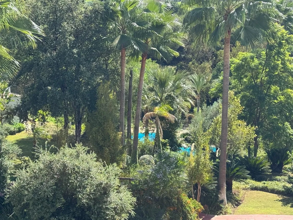 c6c0b348-4d1a-4be2-b52b-855d045764c4