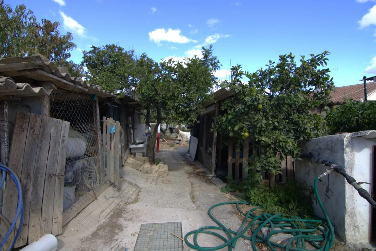 3e00c705-bb70-4735-8de5-b563a3c69a43