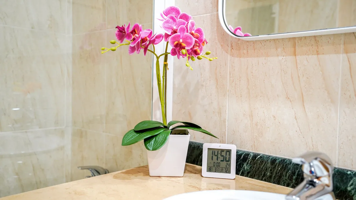 28f71cd3-1861-4e3b-aa25-577da54a5c8c