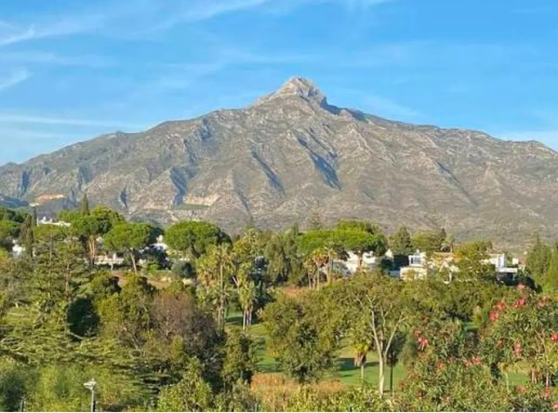 5629c723-3139-4ab6-aeae-6f9cd97e2eeb