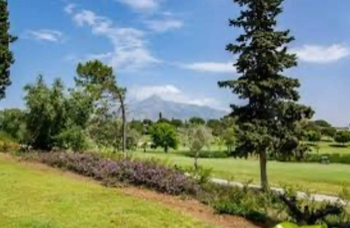 5a1b8a8d-5575-4da6-9eb7-9923e34c620b