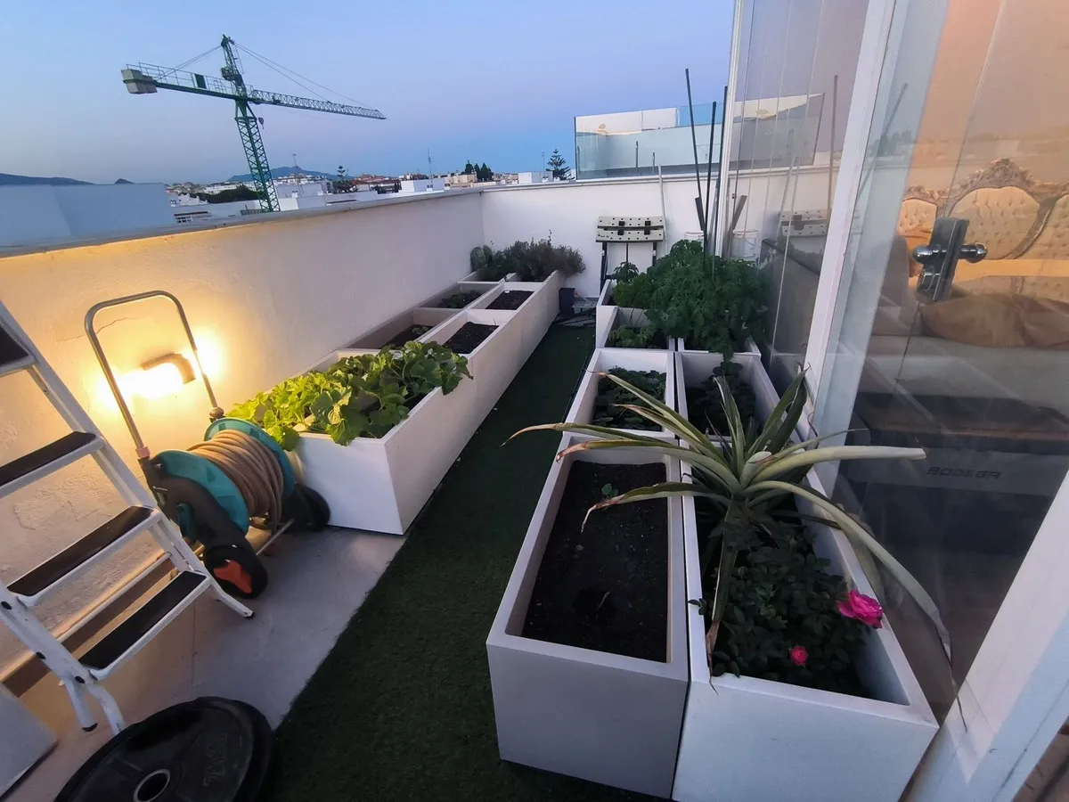 2f5bb19a-b807-4cf4-88fe-236354f697fe