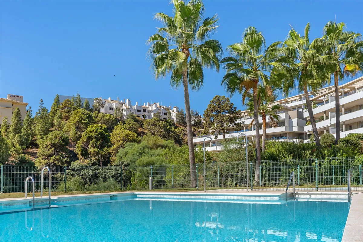 9b9fa249-a178-411d-b763-ff8fecb30e69