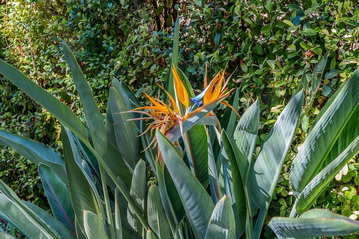 c6ba7ae7-306f-48f9-9cef-b69a3c9cb7a7