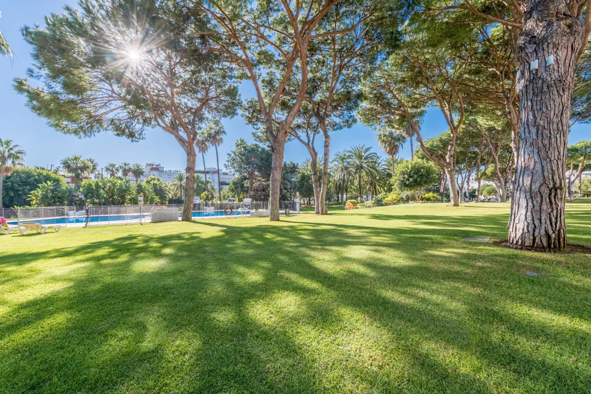 31c81416-c900-49ba-a466-82e24334f77a