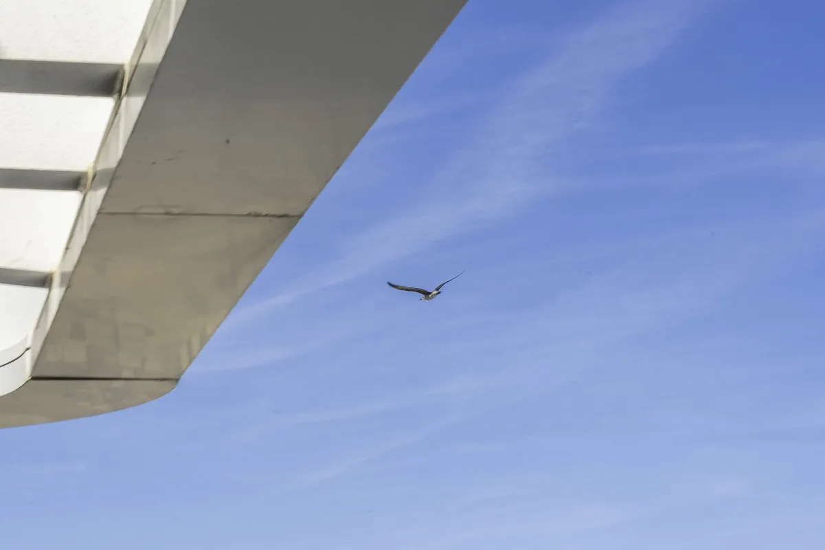 01c24001-56da-4df2-8ce7-dda80930052c