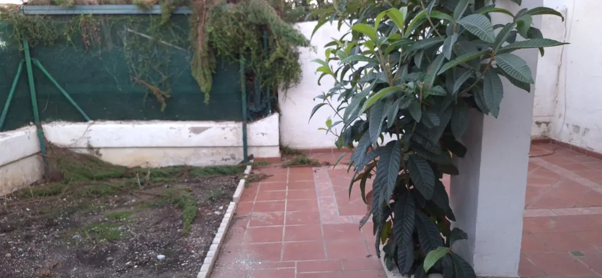 8db2a47d-c04e-45ce-a836-6198d68e5ebd