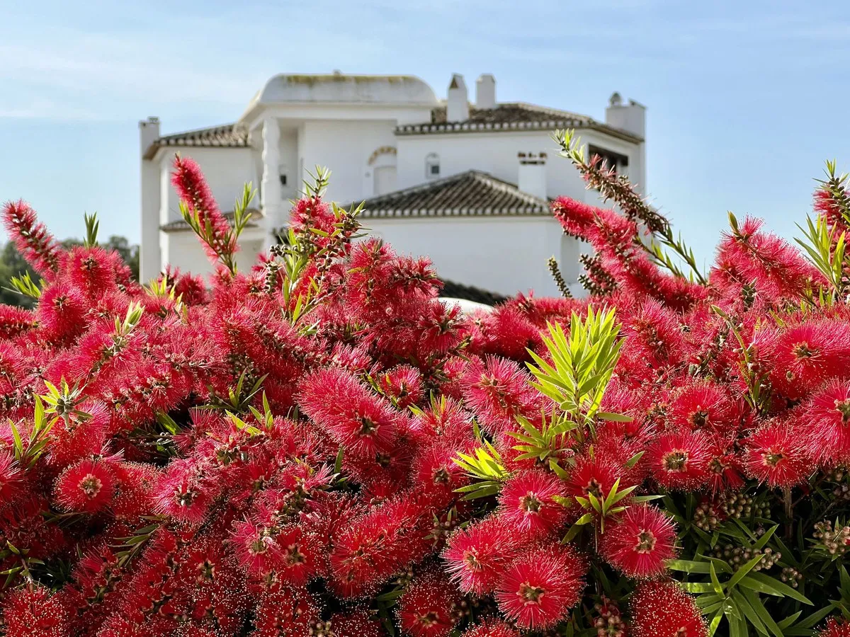 103202ba-32b8-4805-87e5-af7c0f25a43f