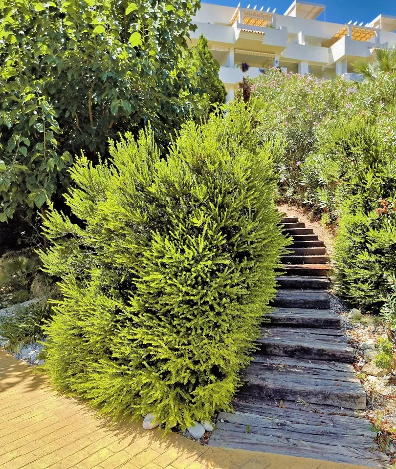 3ea1965a-bc38-4474-a416-f7a265661c26