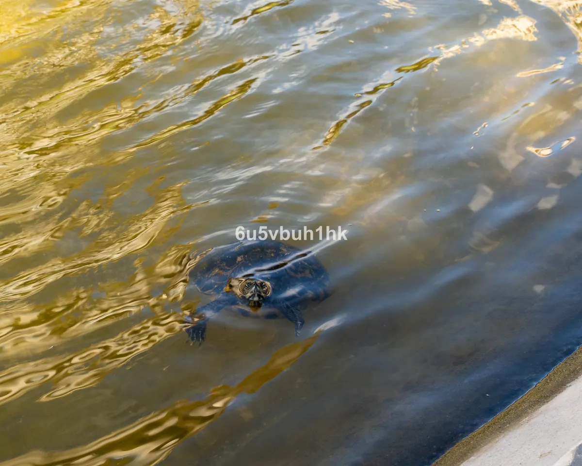 d2eab2ca-9df7-496c-aa75-a9d17397fd82