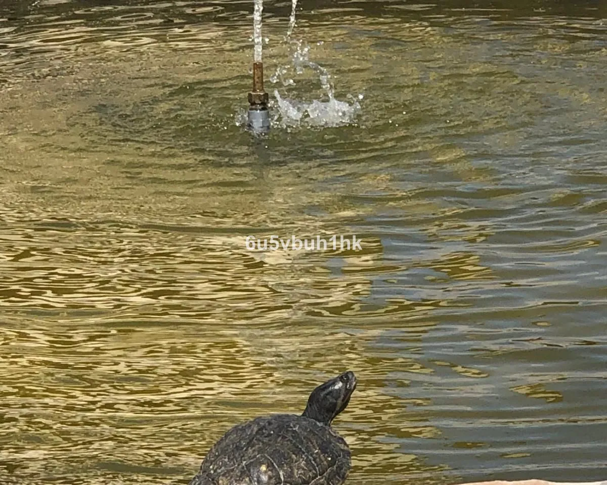 de3cd170-0edc-445c-a967-0dedae691ef0