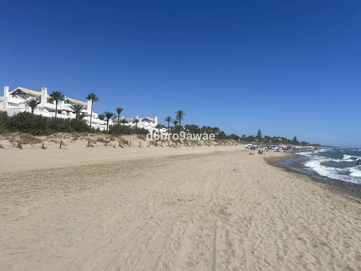 d6e4986c-f086-4a26-916d-e2a61298c4bb