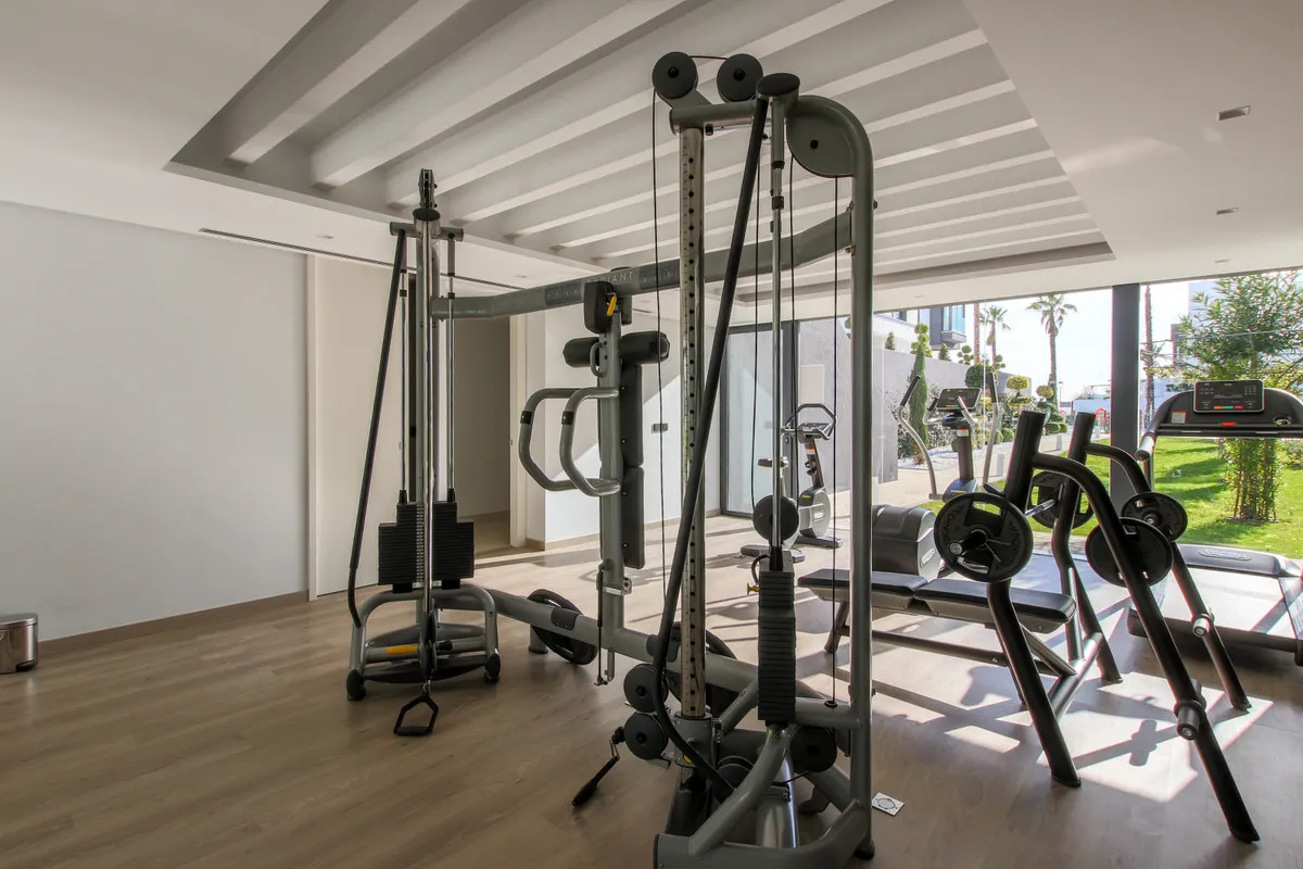 c4137165-3d1a-4785-8b16-fab5280d9498