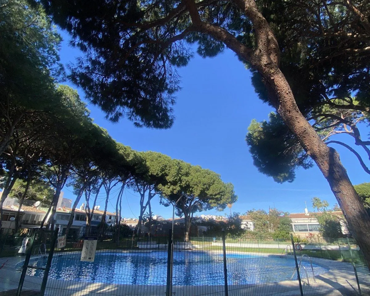 c4381d9a-013e-4a9e-a2c6-ef8533501331