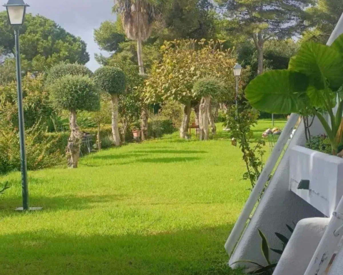 ea74c82c-faa4-4898-921d-8a512d07096c